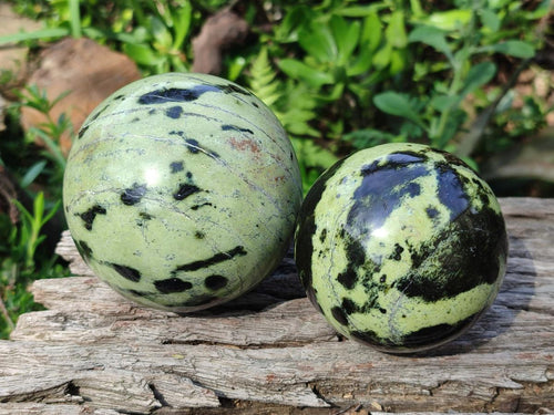 Polished Leopard Stone Spheres x 2 From Zimbabwe - Toprock Gemstones and Minerals 