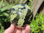 Polished Leopard Stone Spheres x 2 From Zimbabwe - Toprock Gemstones and Minerals 