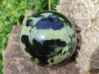 Polished Leopard Stone Spheres x 2 From Zimbabwe - Toprock Gemstones and Minerals 
