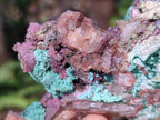 Natural Salrose Cobaltoan Dolomite Specimens with Associated Minerals x 6 From Kakanda, Congo - Toprock Gemstones and Minerals 
