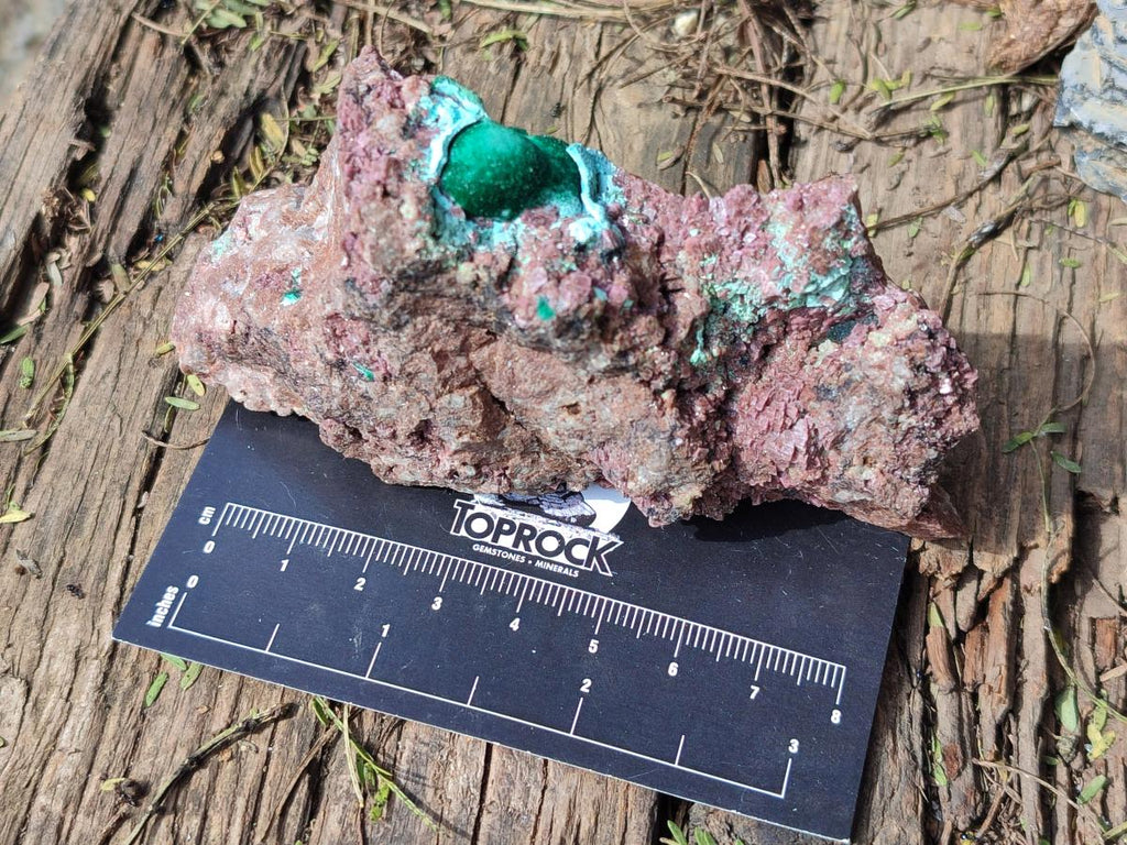 Natural Salrose Cobaltoan Dolomite Specimens with Associated Minerals x 6 From Kakanda, Congo - Toprock Gemstones and Minerals 