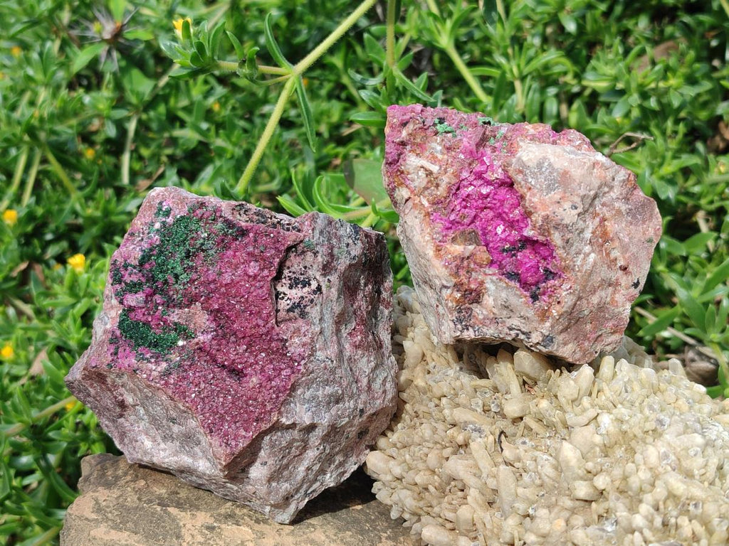 Natural Salrose Cobaltoan Dolomite Specimens with Associated Minerals x 6 From Kakanda, Congo - Toprock Gemstones and Minerals 
