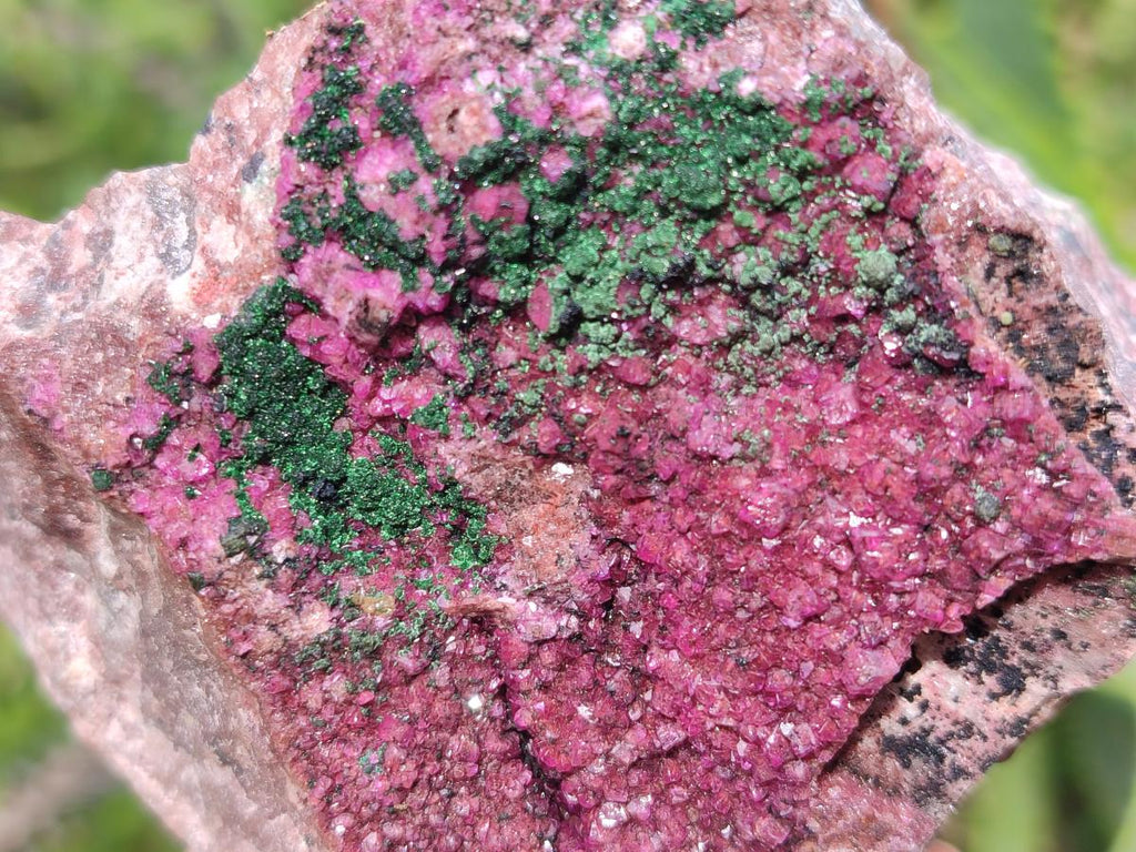 Natural Salrose Cobaltoan Dolomite Specimens with Associated Minerals x 6 From Kakanda, Congo - Toprock Gemstones and Minerals 