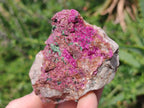 Natural Salrose Cobaltoan Dolomite Specimens with Associated Minerals x 6 From Kakanda, Congo - Toprock Gemstones and Minerals 