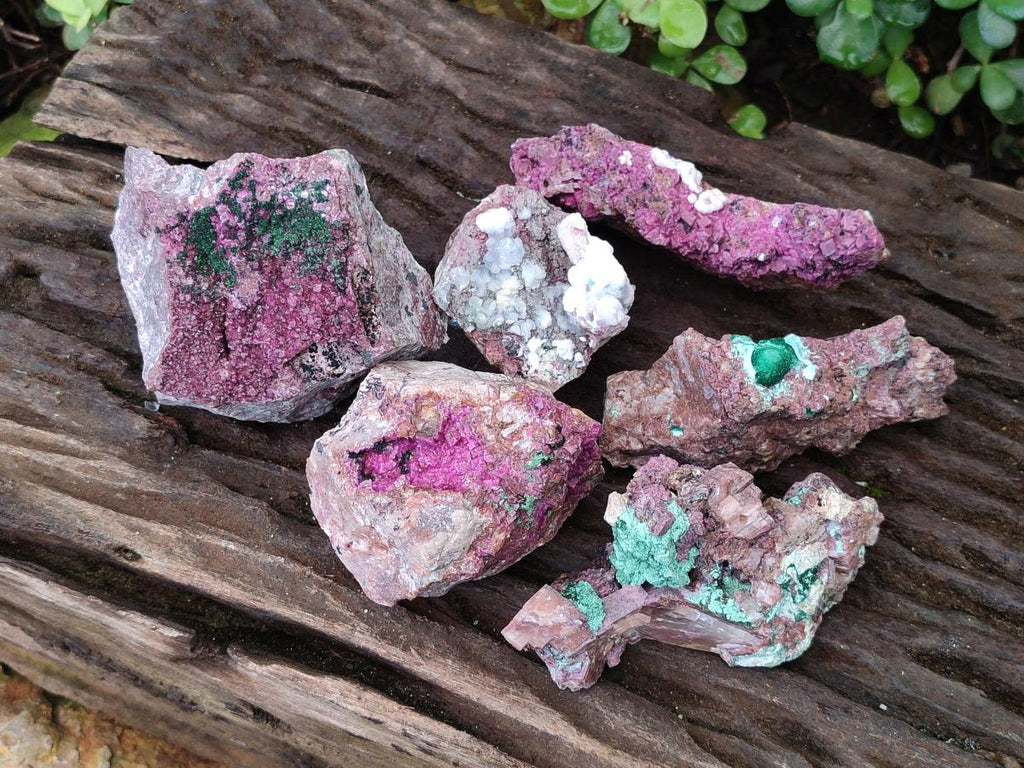 Natural Salrose Cobaltoan Dolomite Specimens with Associated Minerals x 6 From Kakanda, Congo - Toprock Gemstones and Minerals 