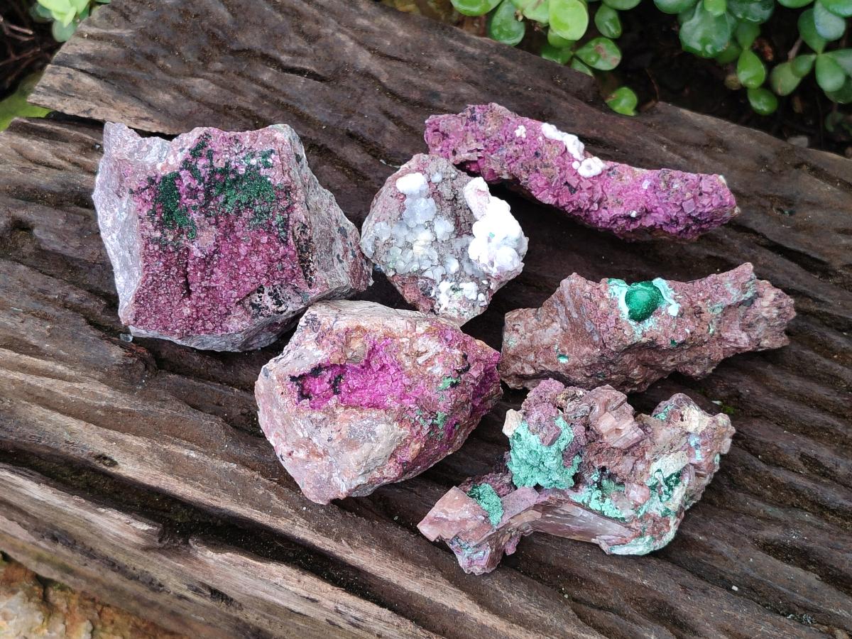 Natural Salrose Cobaltoan Dolomite Specimens with Associated Minerals x 6 From Kakanda, Congo - Toprock Gemstones and Minerals 