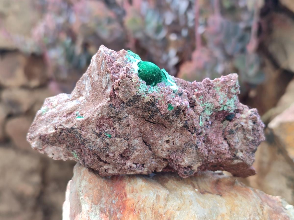 Natural Salrose Cobaltoan Dolomite Specimens with Associated Minerals x 6 From Kakanda, Congo - Toprock Gemstones and Minerals 