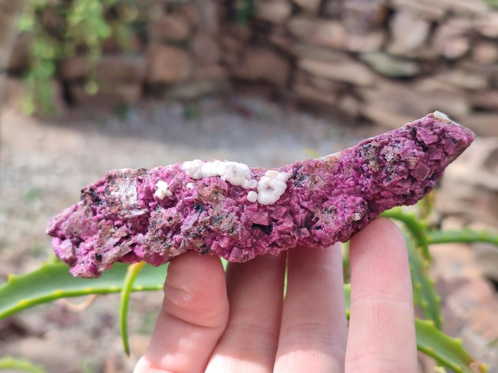 Natural Salrose Cobaltoan Dolomite Specimens with Associated Minerals x 6 From Kakanda, Congo - Toprock Gemstones and Minerals 