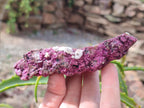 Natural Salrose Cobaltoan Dolomite Specimens with Associated Minerals x 6 From Kakanda, Congo - Toprock Gemstones and Minerals 