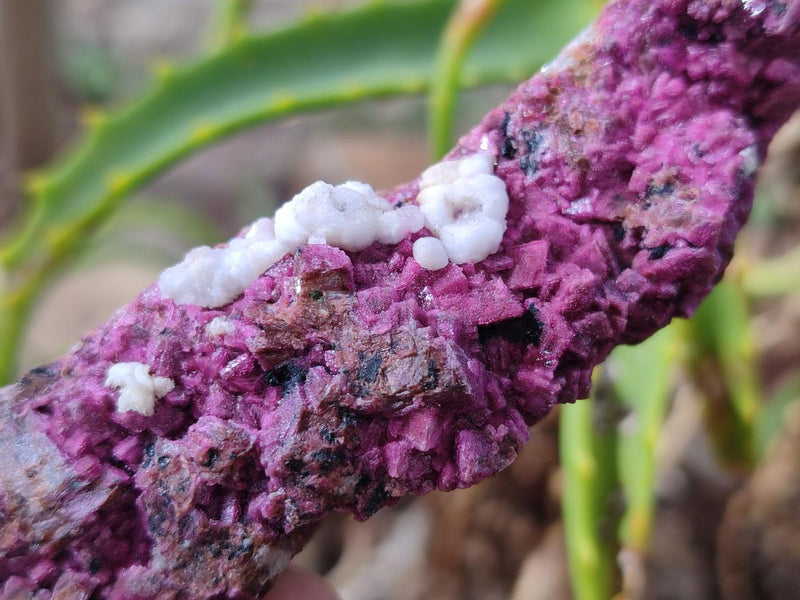 Natural Salrose Cobaltoan Dolomite Specimens with Associated Minerals x 6 From Kakanda, Congo - Toprock Gemstones and Minerals 