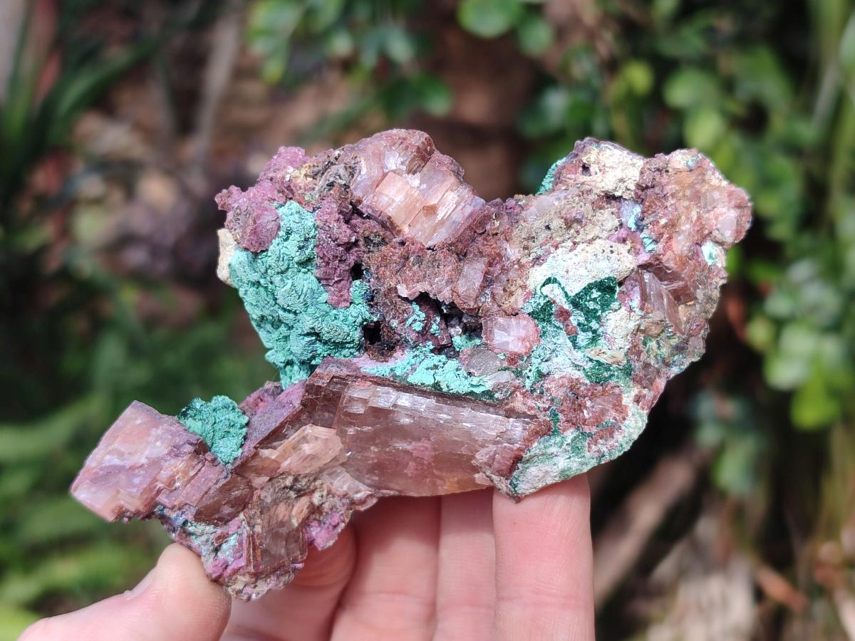 Natural Salrose Cobaltoan Dolomite Specimens with Associated Minerals x 6 From Kakanda, Congo - Toprock Gemstones and Minerals 