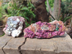 Natural Salrose Cobaltoan Dolomite Specimens with Associated Minerals x 6 From Kakanda, Congo - Toprock Gemstones and Minerals 