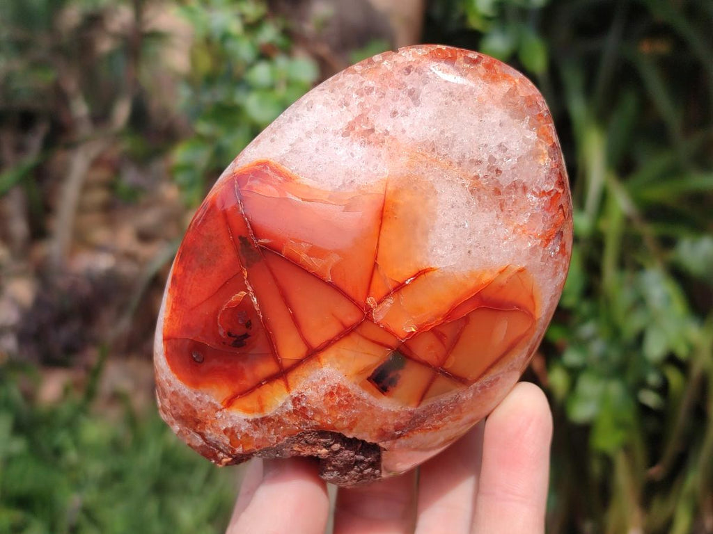 Polished and Natural Carnelian Agate Gemstone Standing Display Pieces x 3 From Madagascar - Toprock Gemstones and Minerals 