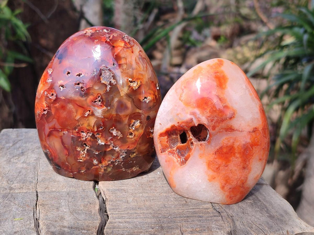 Polished and Natural Carnelian Agate Gemstone Standing Display Pieces x 3 From Madagascar - Toprock Gemstones and Minerals 