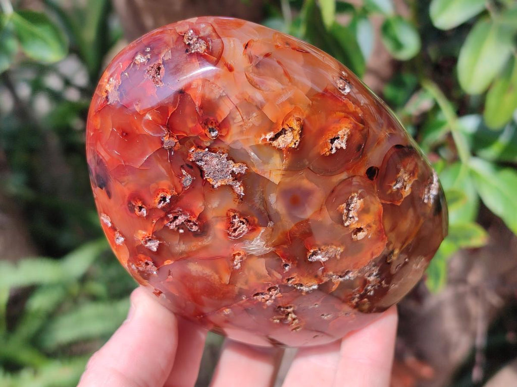 Polished and Natural Carnelian Agate Gemstone Standing Display Pieces x 3 From Madagascar - Toprock Gemstones and Minerals 