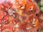 Polished and Natural Carnelian Agate Gemstone Standing Display Pieces x 3 From Madagascar - Toprock Gemstones and Minerals 