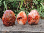 Polished and Natural Carnelian Agate Gemstone Standing Display Pieces x 3 From Madagascar - Toprock Gemstones and Minerals 