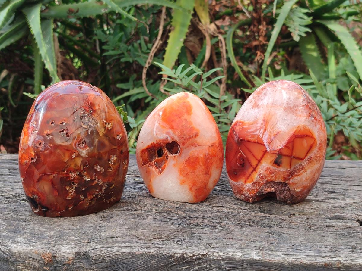 Polished and Natural Carnelian Agate Gemstone Standing Display Pieces x 3 From Madagascar - Toprock Gemstones and Minerals 