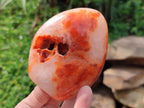 Polished and Natural Carnelian Agate Gemstone Standing Display Pieces x 3 From Madagascar - Toprock Gemstones and Minerals 