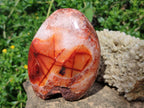 Polished and Natural Carnelian Agate Gemstone Standing Display Pieces x 3 From Madagascar - Toprock Gemstones and Minerals 