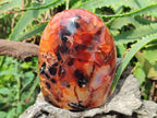 Polished and Natural Carnelian Agate Gemstone Standing Display Pieces x 3 From Madagascar - Toprock Gemstones and Minerals 