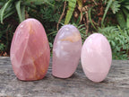 Polished Gemmy Rose Quartz Standing Display Pieces x 3 From Madagascar - Toprock Gemstones and Minerals 