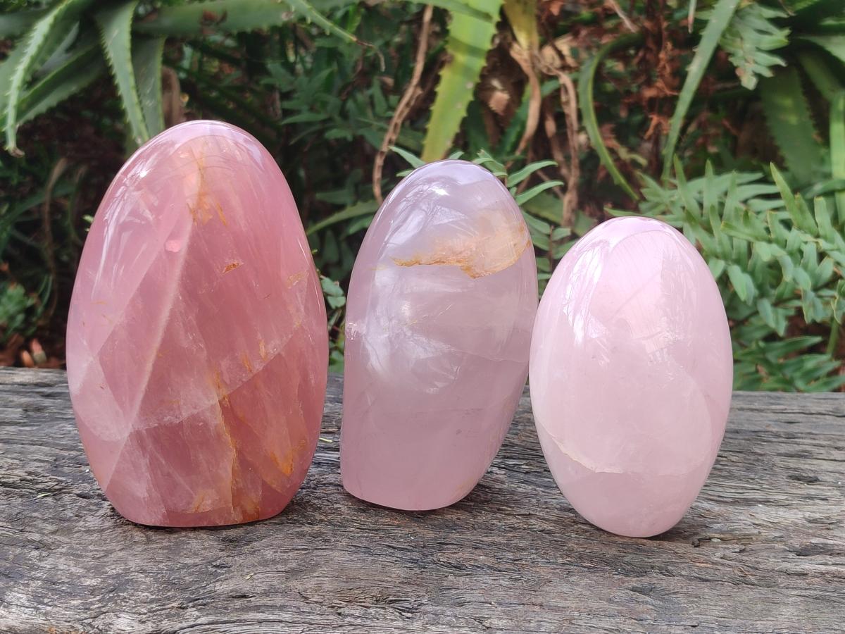 Polished Gemmy Rose Quartz Standing Display Pieces x 3 From Madagascar - Toprock Gemstones and Minerals 