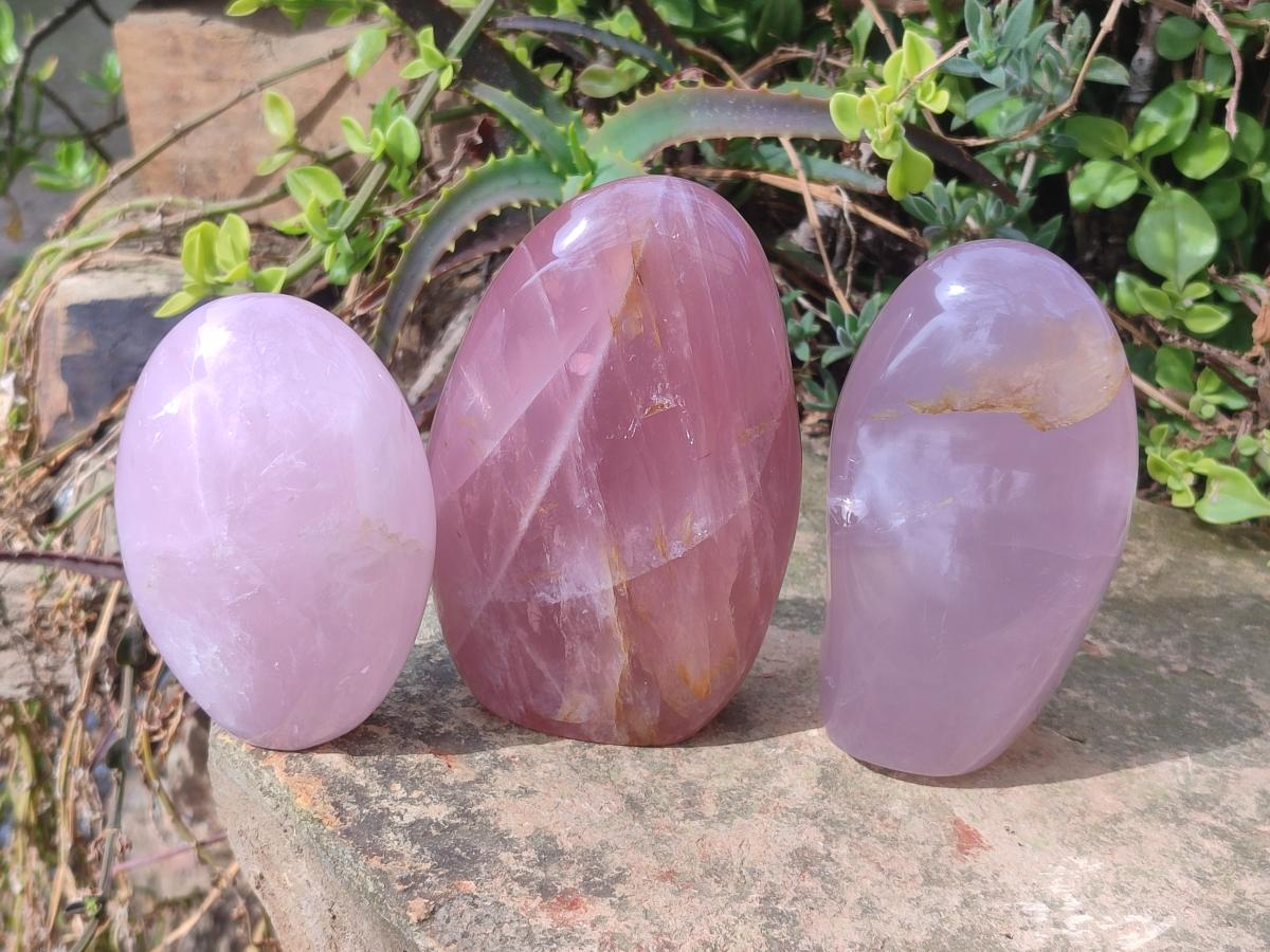 Polished Gemmy Rose Quartz Standing Display Pieces x 3 From Madagascar - Toprock Gemstones and Minerals 