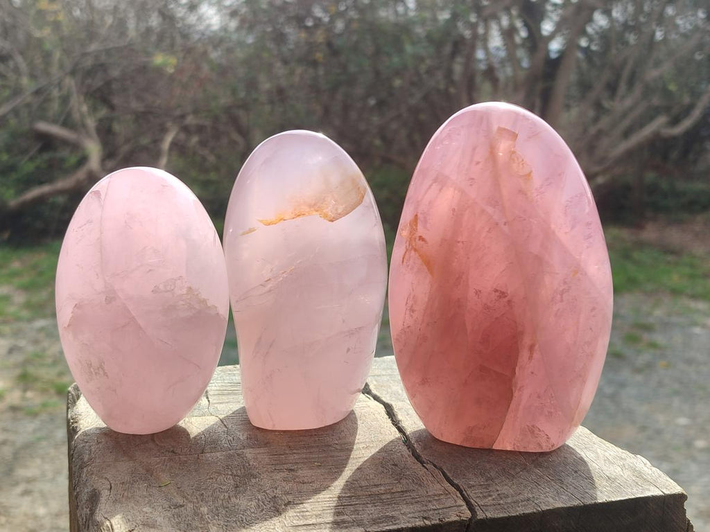Polished Gemmy Rose Quartz Standing Display Pieces x 3 From Madagascar - Toprock Gemstones and Minerals 