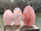 Polished Gemmy Rose Quartz Standing Display Pieces x 3 From Madagascar - Toprock Gemstones and Minerals 