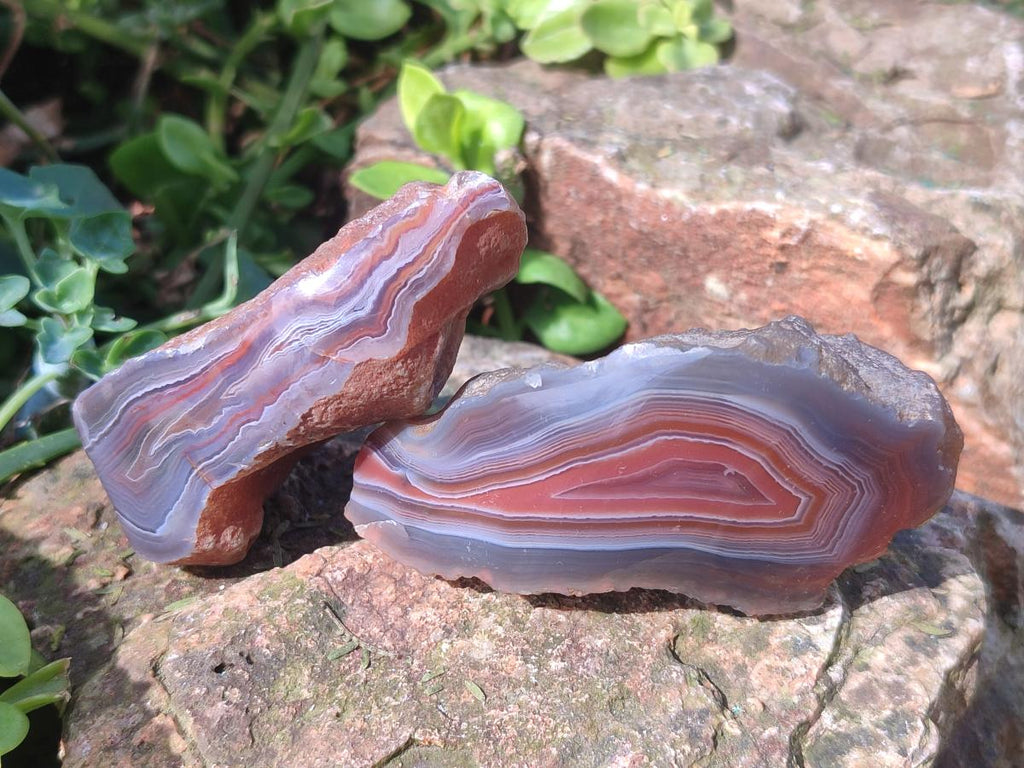 Polished One Side Red Shashe River Agate Nodules x 24 From Shashe River, Zimbabwe - Toprock Gemstones and Minerals 
