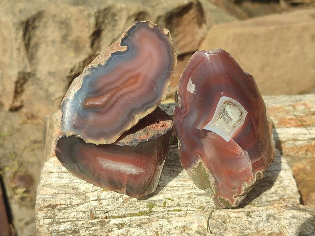 Polished One Side Red Shashe River Agate Nodules x 24 From Shashe River, Zimbabwe - Toprock Gemstones and Minerals 