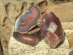 Polished One Side Red Shashe River Agate Nodules x 24 From Shashe River, Zimbabwe - Toprock Gemstones and Minerals 