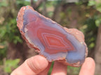 Polished One Side Red Shashe River Agate Nodules x 24 From Shashe River, Zimbabwe - Toprock Gemstones and Minerals 