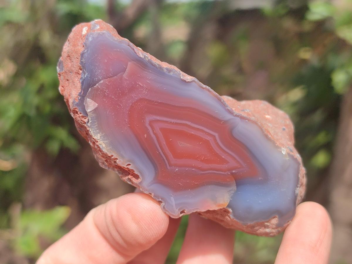 Polished One Side Red Shashe River Agate Nodules x 24 From Shashe River, Zimbabwe - Toprock Gemstones and Minerals 