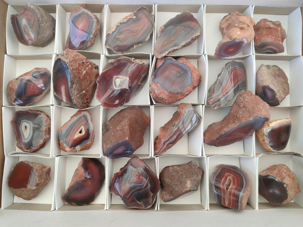 Polished One Side Red Shashe River Agate Nodules x 24 From Shashe River, Zimbabwe - Toprock Gemstones and Minerals 