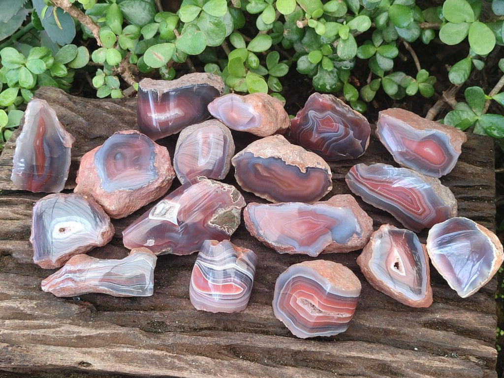 Polished One Side Red Shashe River Agate Nodules x 24 From Shashe River, Zimbabwe - Toprock Gemstones and Minerals 
