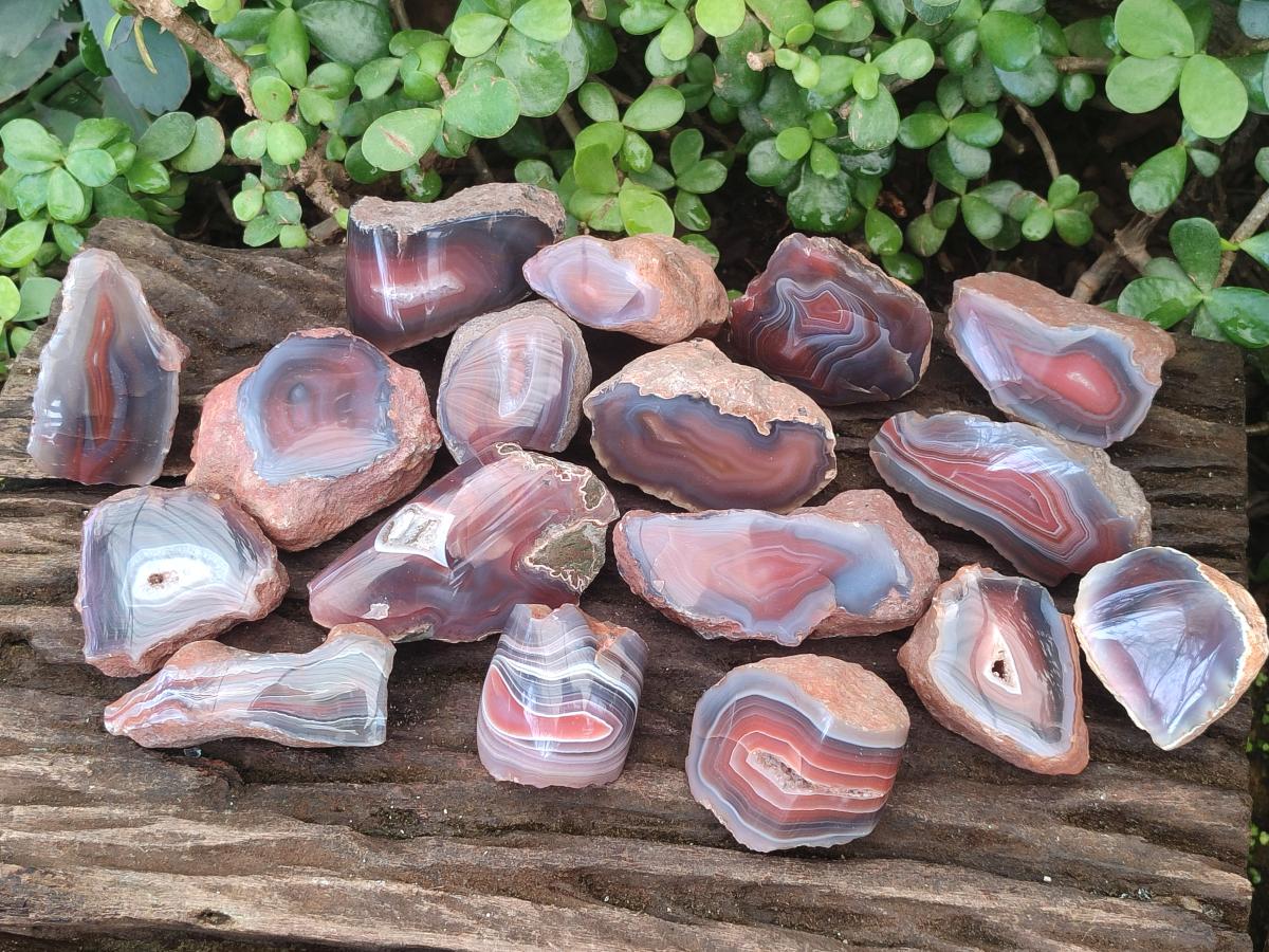 Polished One Side Red Shashe River Agate Nodules x 24 From Shashe River, Zimbabwe - Toprock Gemstones and Minerals 