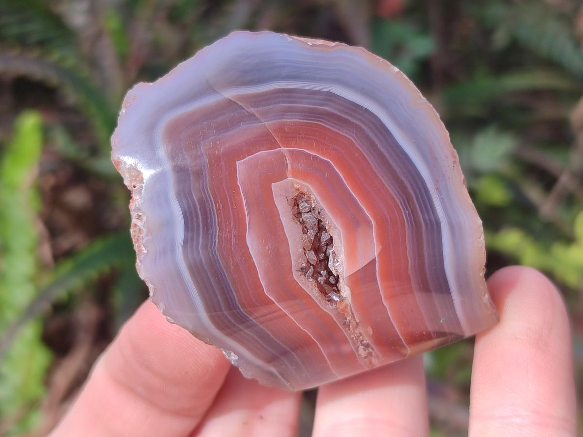 Polished One Side Red Shashe River Agate Nodules x 24 From Shashe River, Zimbabwe - Toprock Gemstones and Minerals 