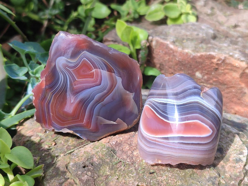 Polished One Side Red Shashe River Agate Nodules x 24 From Shashe River, Zimbabwe - Toprock Gemstones and Minerals 