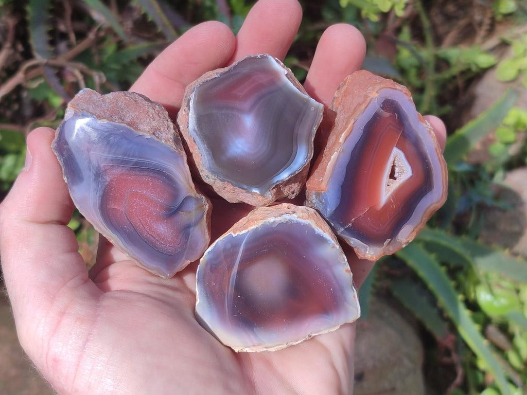 Polished One Side Red Shashe River Agate Nodules x 24 From Shashe River, Zimbabwe - Toprock Gemstones and Minerals 