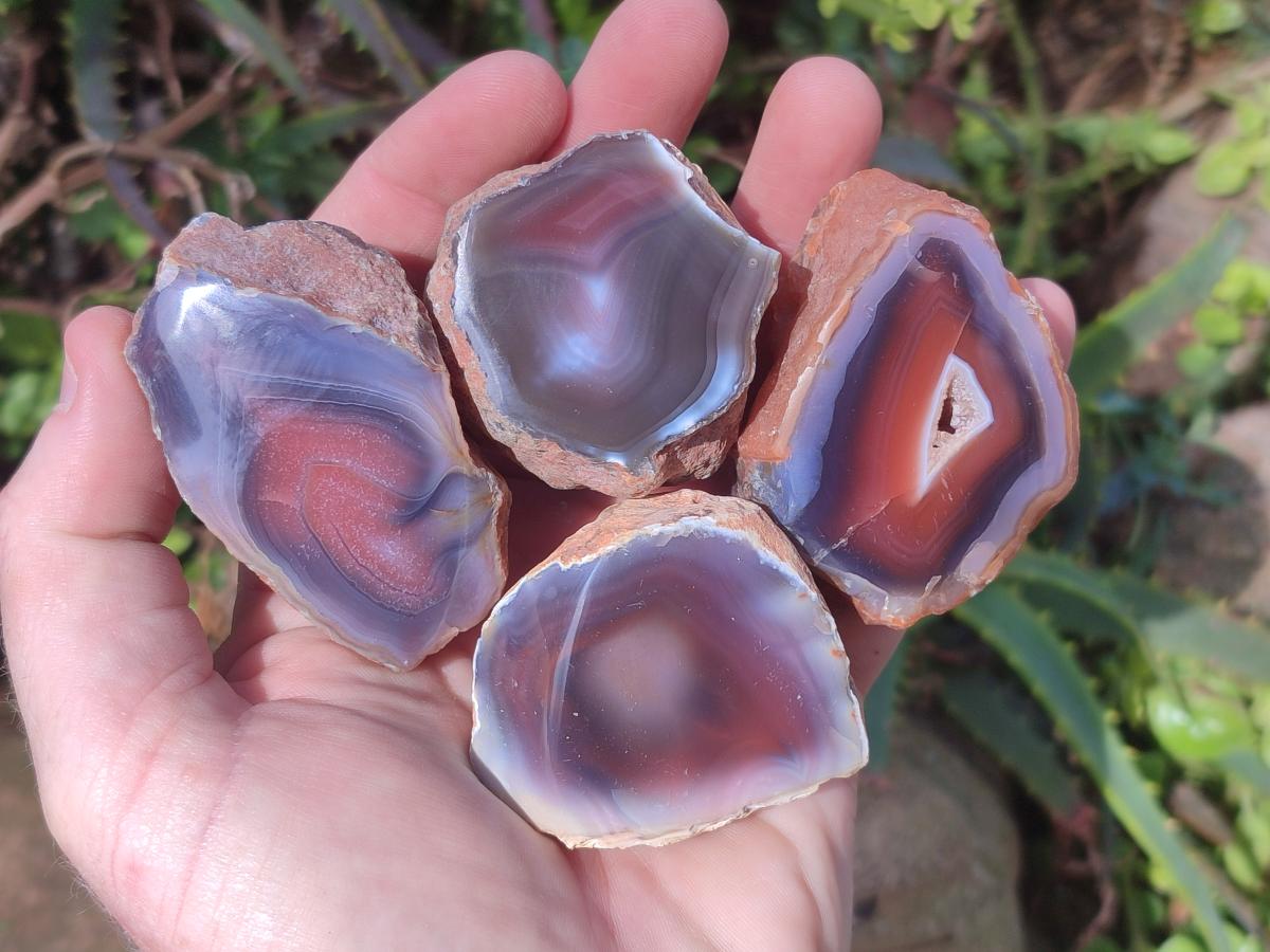 Polished One Side Red Shashe River Agate Nodules x 24 From Shashe River, Zimbabwe - Toprock Gemstones and Minerals 