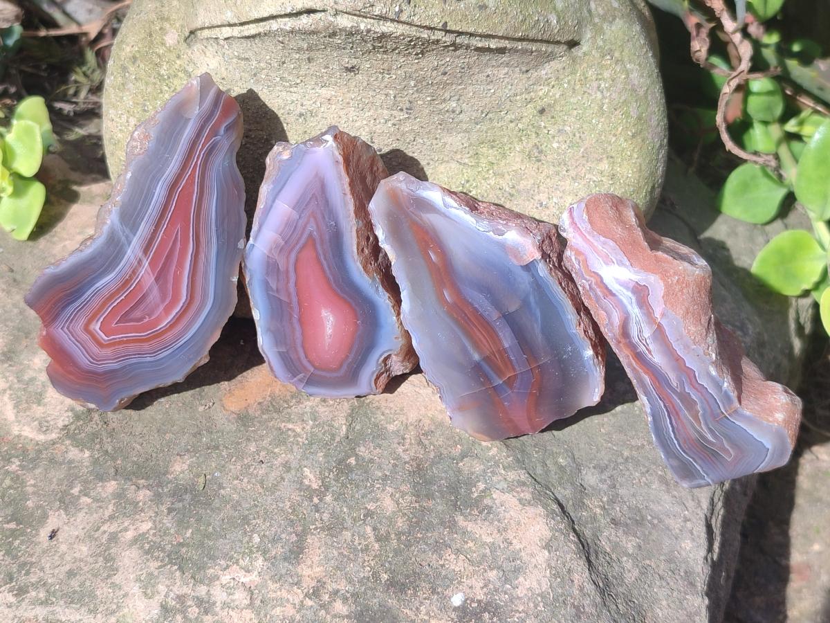 Polished One Side Red Shashe River Agate Nodules x 24 From Shashe River, Zimbabwe - Toprock Gemstones and Minerals 