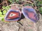 Polished One Side Red Shashe River Agate Nodules x 24 From Shashe River, Zimbabwe - Toprock Gemstones and Minerals 