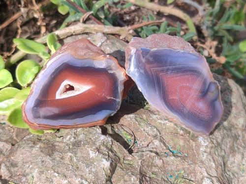 Polished One Side Red Shashe River Agate Nodules x 24 From Shashe River, Zimbabwe - Toprock Gemstones and Minerals 