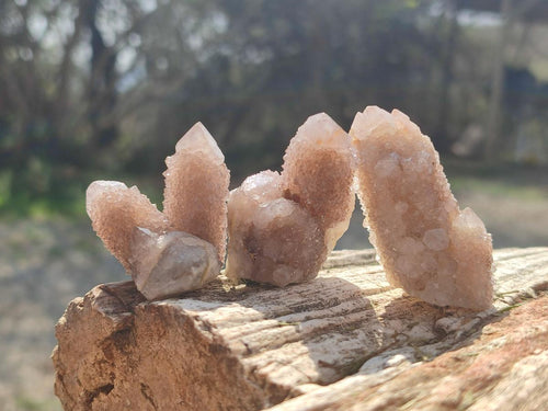 Natural Drusy Spirit Quartz Crystals x 35 From Boekenhouthoek, South Africa - Toprock Gemstones and Minerals 
