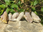 Natural Drusy Spirit Quartz Crystals x 35 From Boekenhouthoek, South Africa - Toprock Gemstones and Minerals 