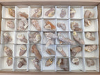Natural Drusy Spirit Quartz Crystals x 35 From Boekenhouthoek, South Africa - Toprock Gemstones and Minerals 