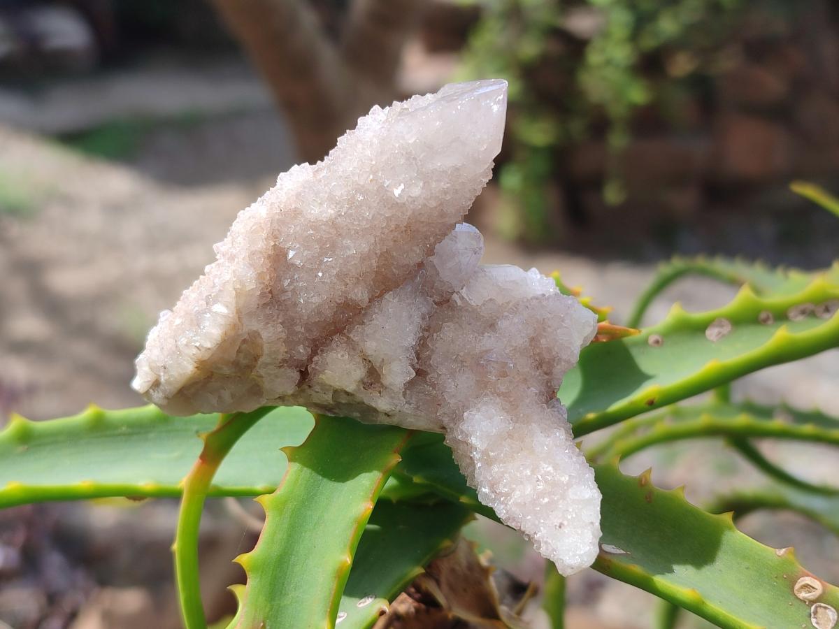 Natural Drusy Spirit Quartz Crystals x 35 From Boekenhouthoek, South Africa - Toprock Gemstones and Minerals 