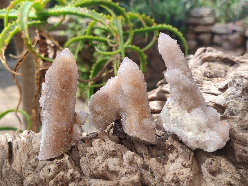 Natural Drusy Spirit Quartz Crystals x 35 From Boekenhouthoek, South Africa - Toprock Gemstones and Minerals 